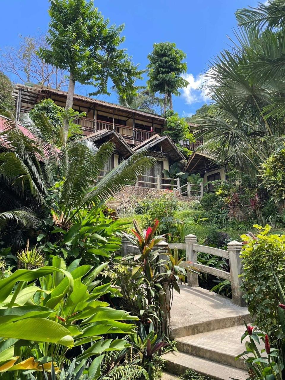 Novie'S Tourist Inn El Nido Exterior foto